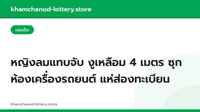 หญิงลมแทบจับ งูเหลือม 4 เมตร ซุกห้องเครื่องรถยนต์ แห่ส่องทะเบียน