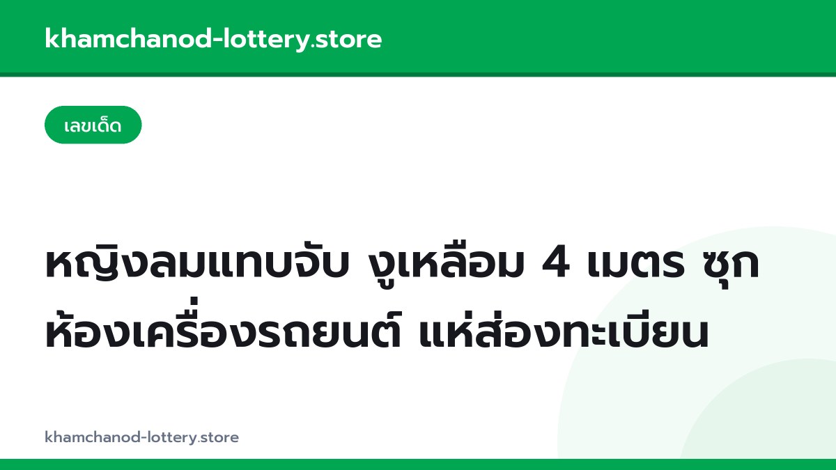 หญิงลมแทบจับ งูเหลือม 4 เมตร ซุกห้องเครื่องรถยนต์ แห่ส่องทะเบียน